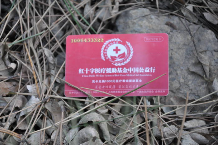 DSC_3254.JPG