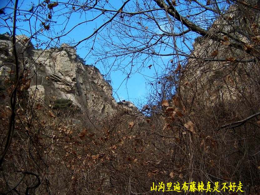101_0696_缩小大小.JPG