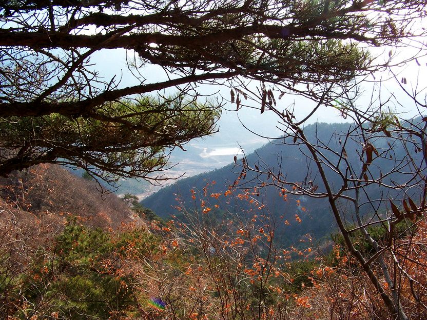 101_0698_缩小大小.JPG