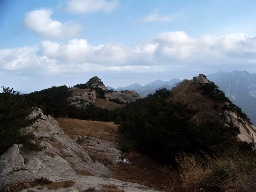 101_0713_缩小大小.jpg