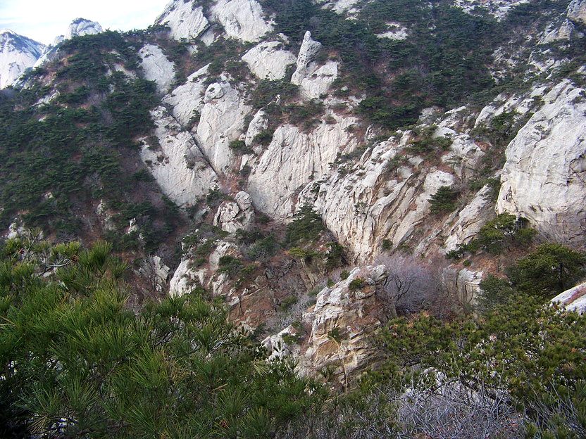 101_0723_缩小大小.JPG
