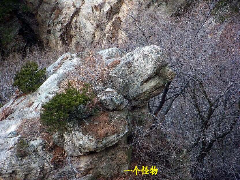 101_0726_缩小大小.JPG