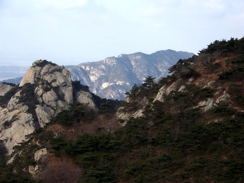 101_0754_缩小大小.JPG