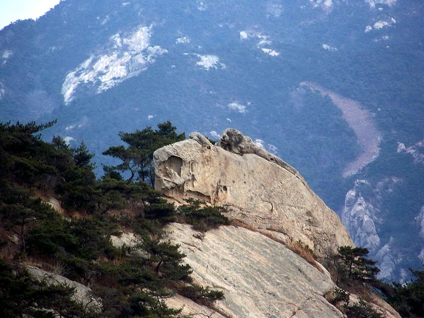101_0791_缩小大小.JPG