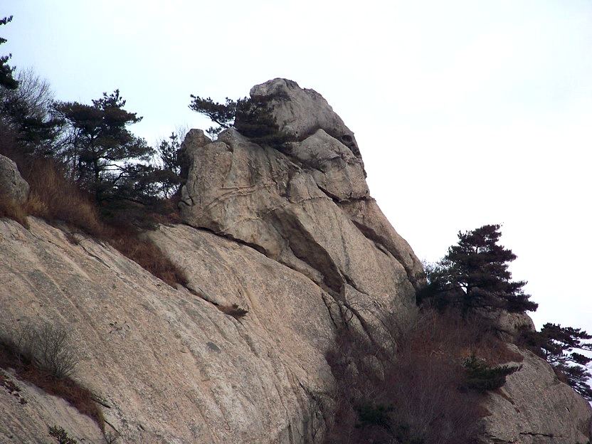 101_0792_缩小大小.JPG