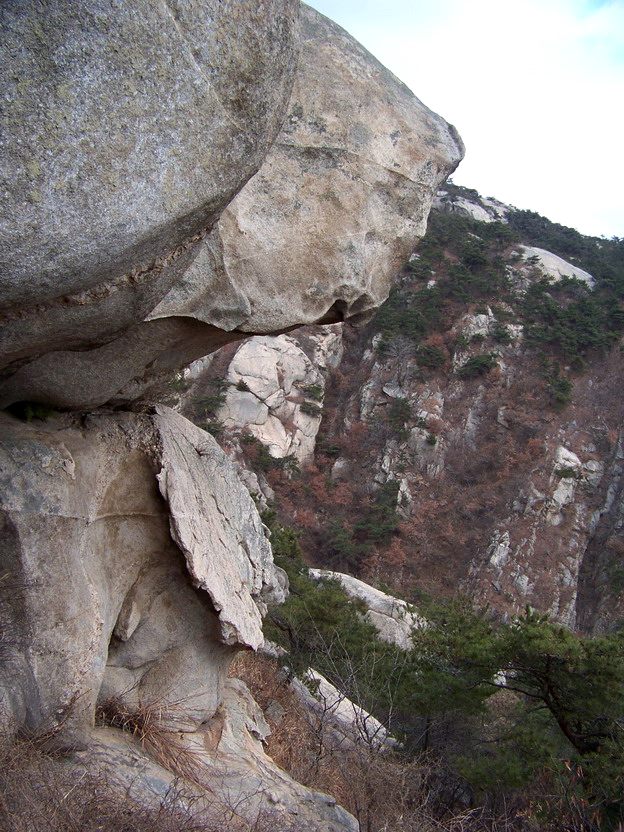 101_0796_缩小大小.JPG
