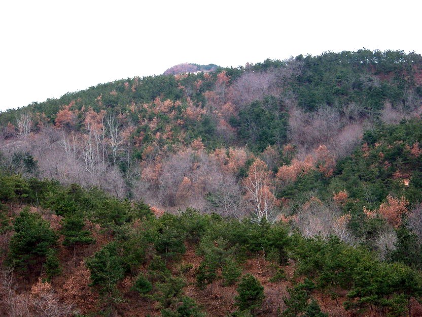 101_0809_缩小大小.JPG