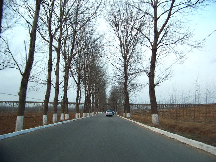 101_0823_缩小大小.JPG