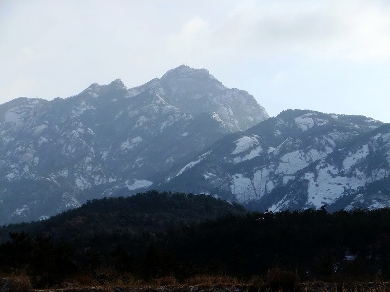 DSCF6347.jpg