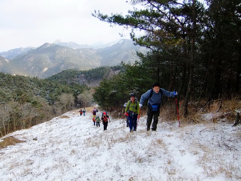 DSCF6372.jpg