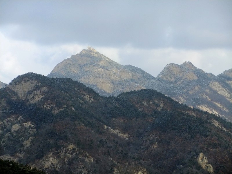 DSCF6383.jpg