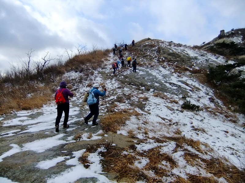 DSCF6411.jpg