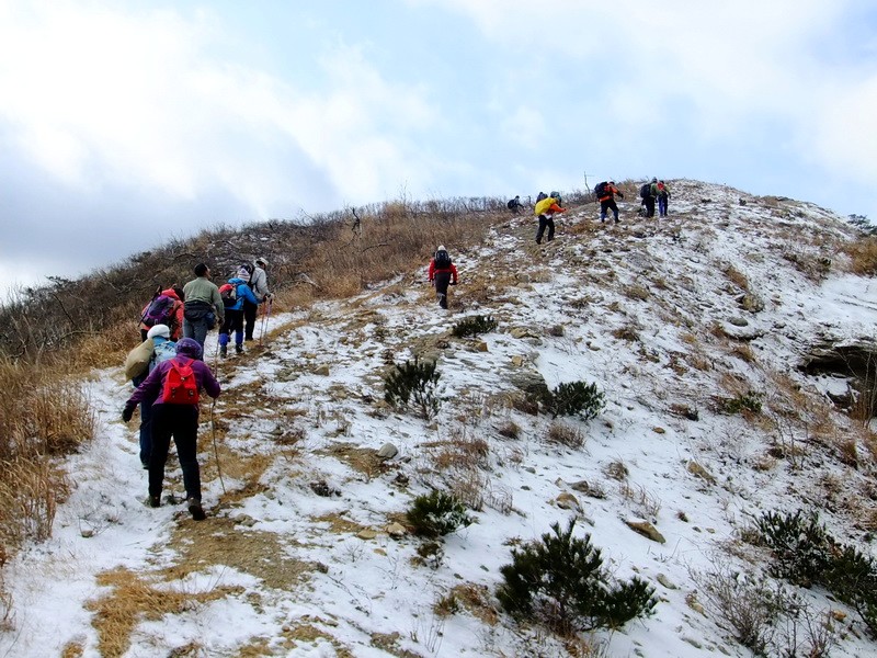 DSCF6414.jpg