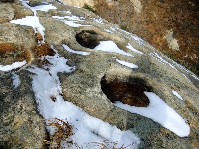 DSCF6431.jpg