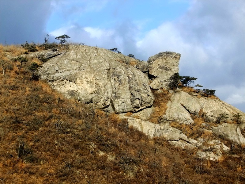 DSCF6419.jpg