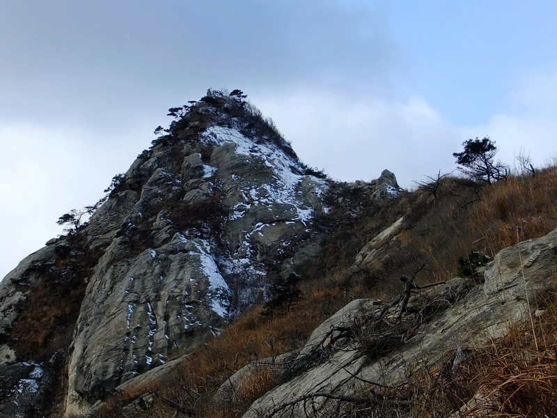 DSCF6456.jpg