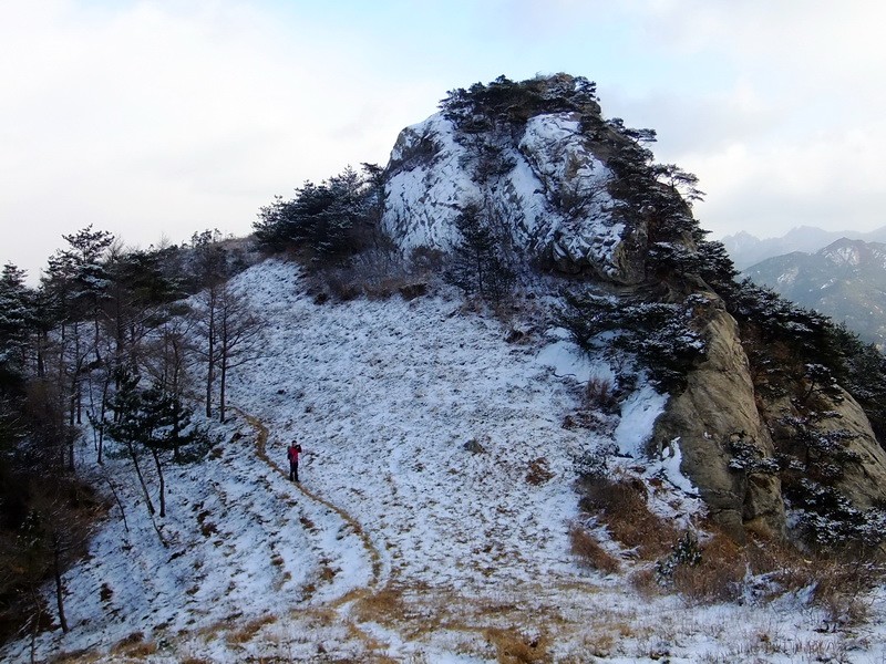 DSCF6459.jpg