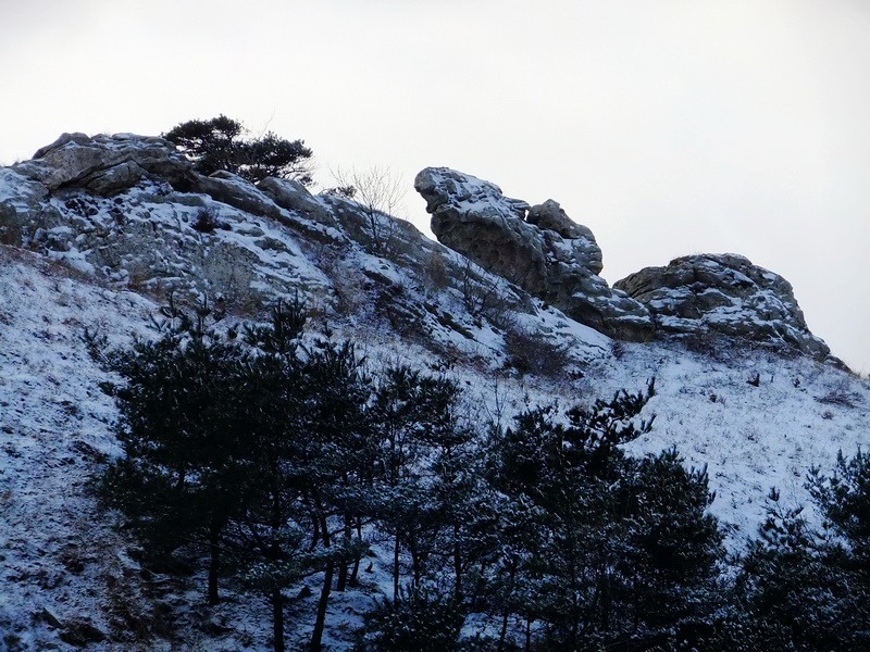DSCF6471.jpg