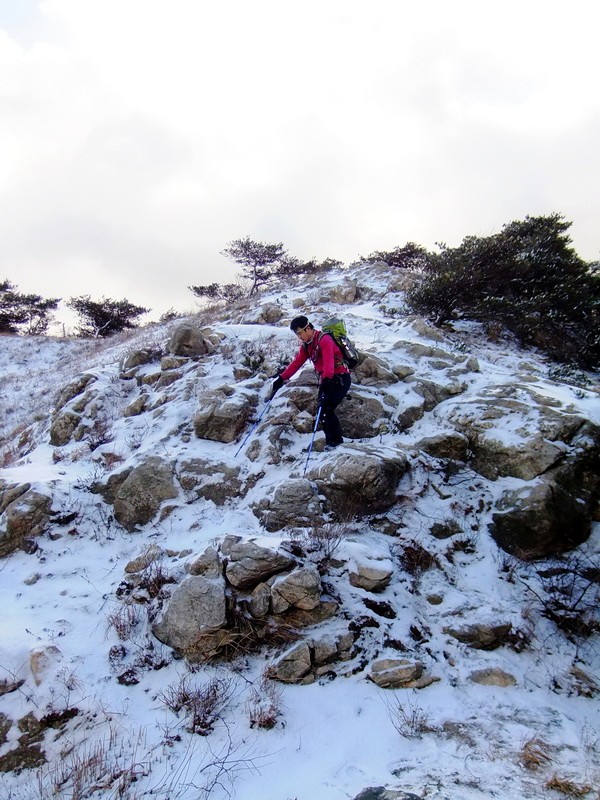 DSCF6490.jpg