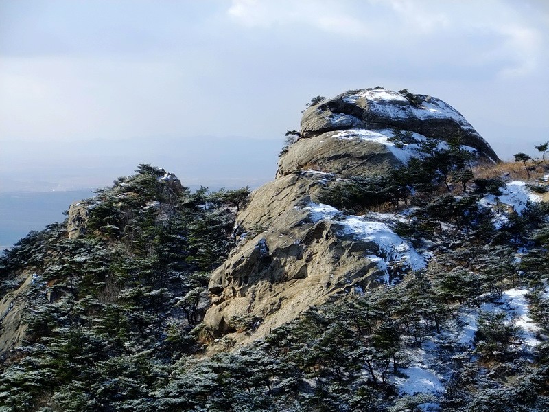 DSCF6495.jpg
