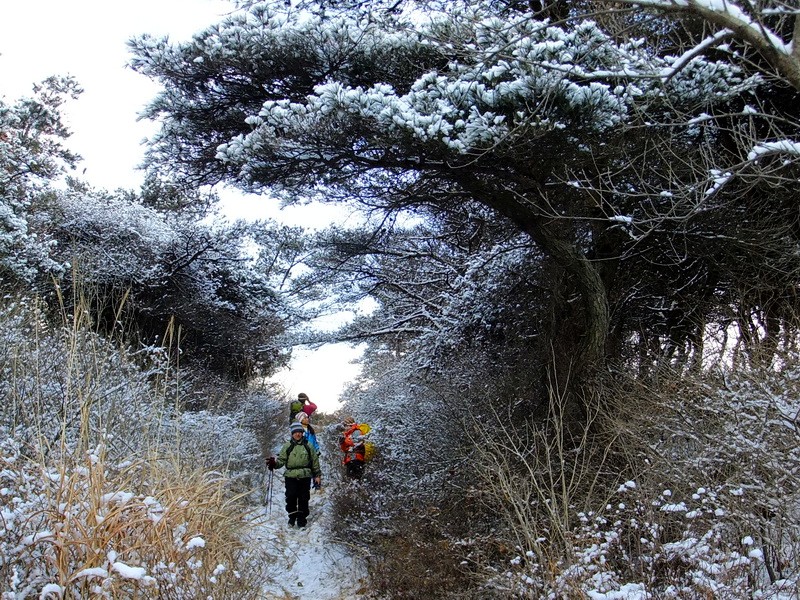 DSCF6510.jpg