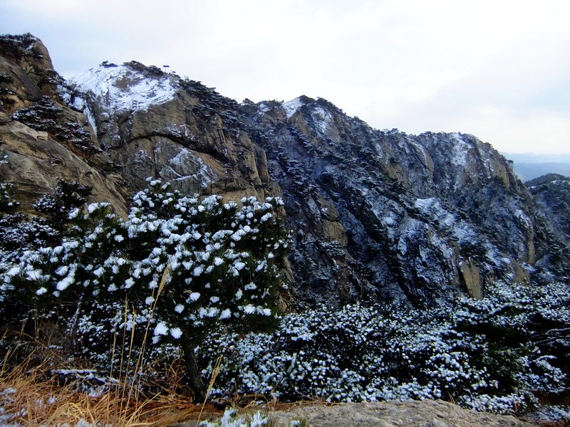 DSCF6529.jpg