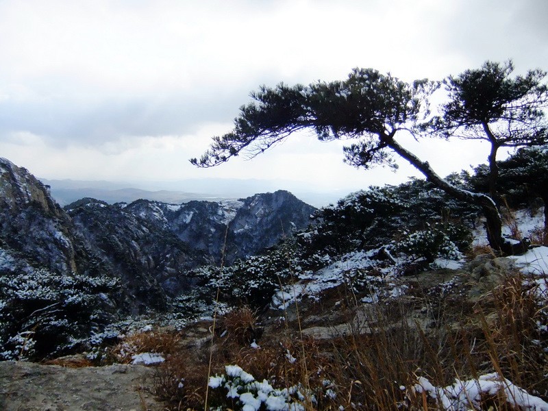 DSCF6527.jpg
