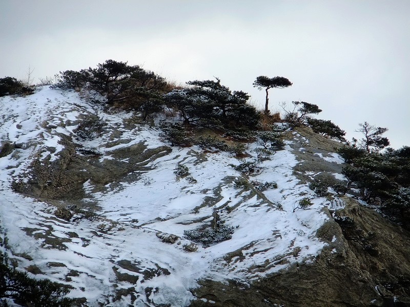 DSCF6535.jpg