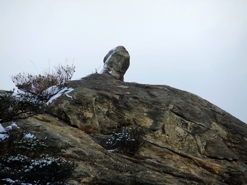 DSCF6524.jpg