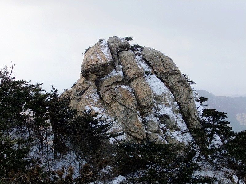 DSCF6558.jpg