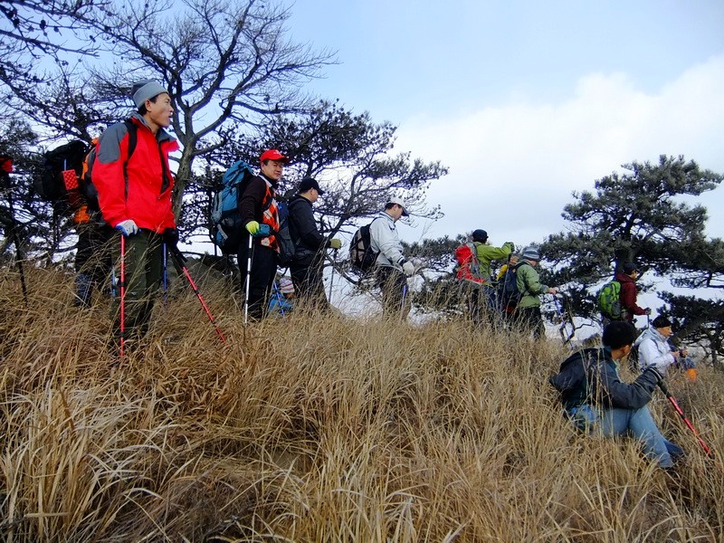 DSCF6571.jpg