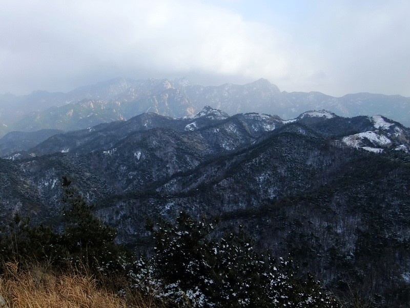 DSCF6563.jpg