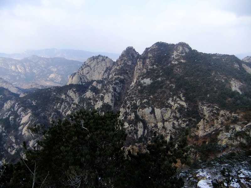 DSCF6594.jpg