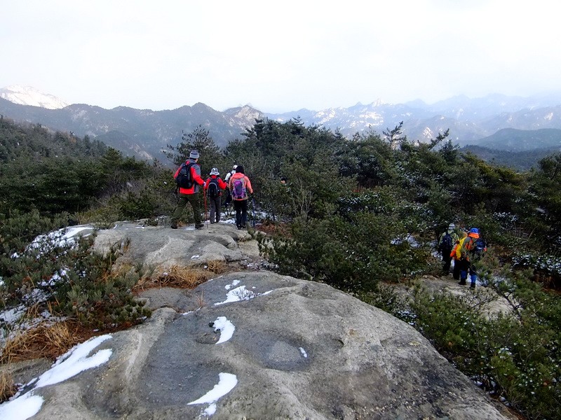DSCF6605.jpg