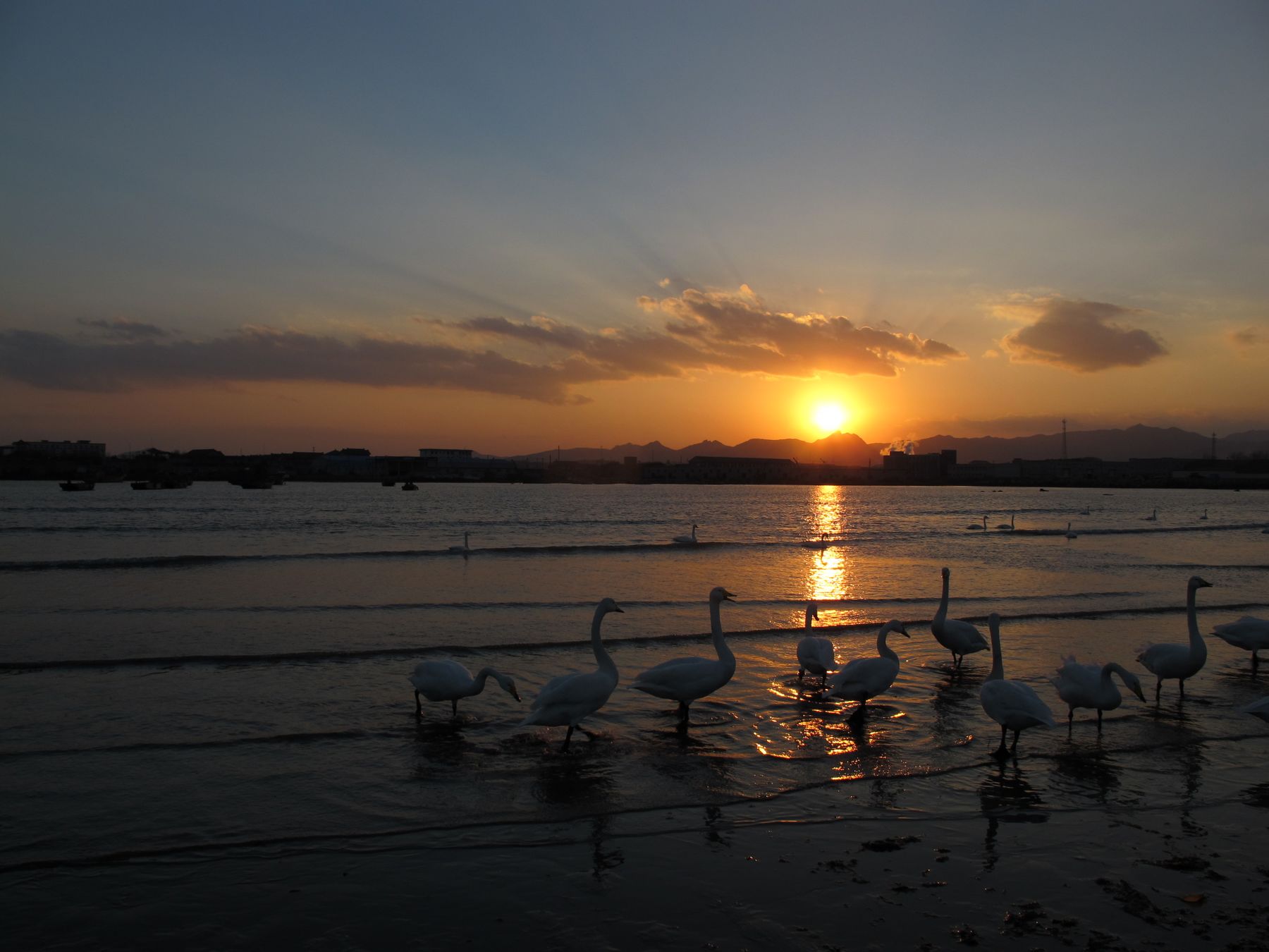 夕阳下的天使2.jpg