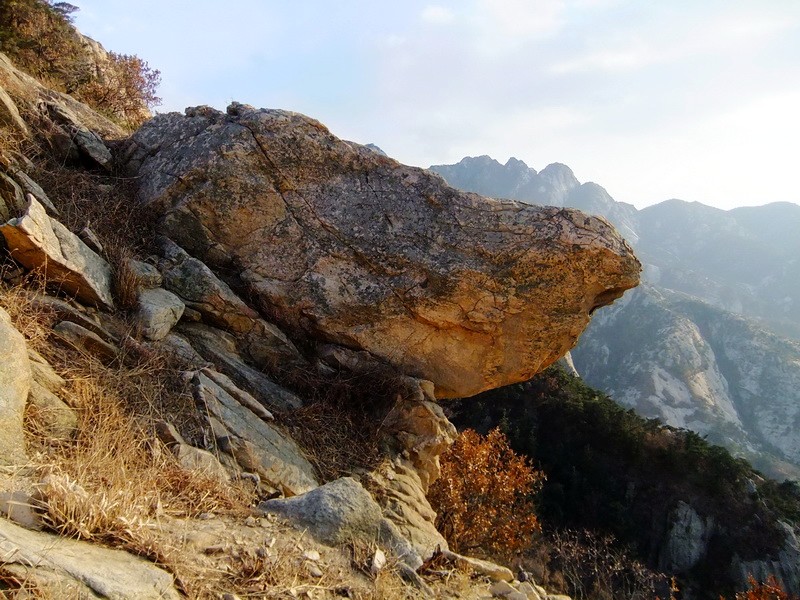 DSCF6765.jpg
