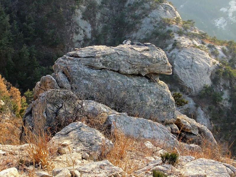 DSCF6775.jpg
