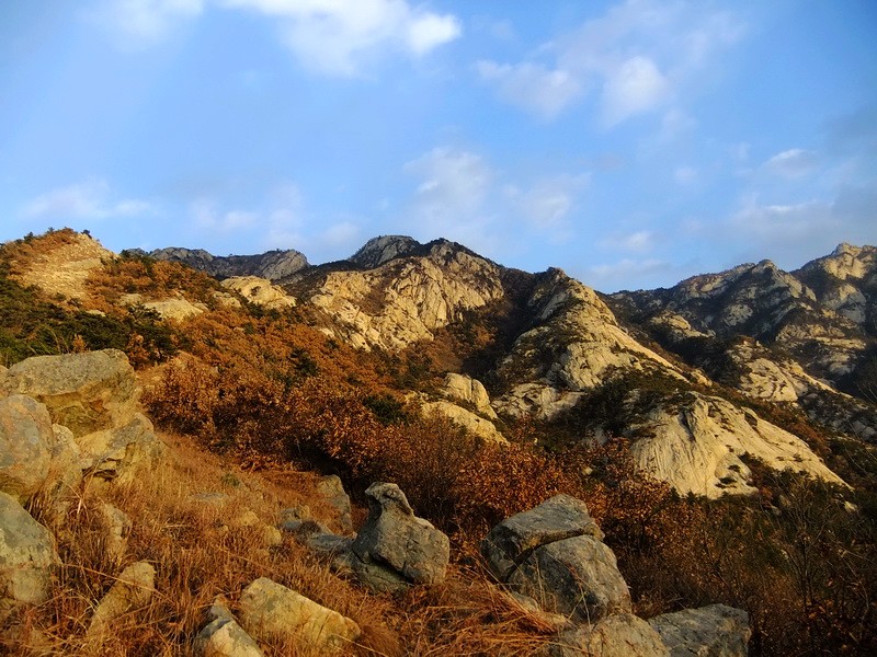 DSCF6792.jpg