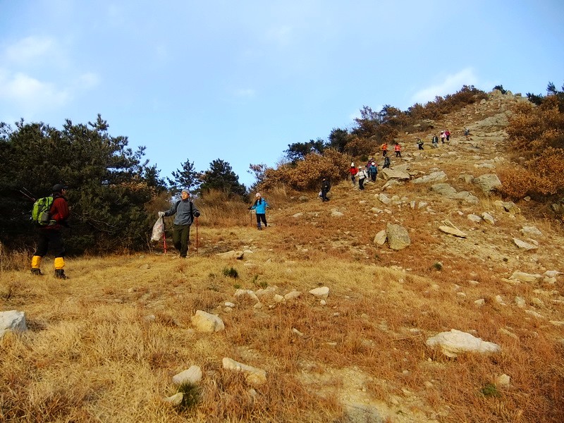 DSCF6790.jpg
