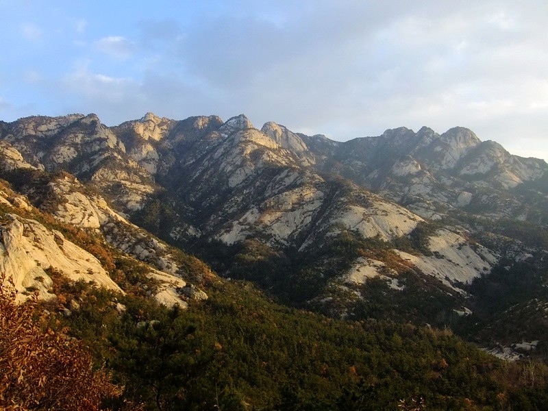 DSCF6793.jpg