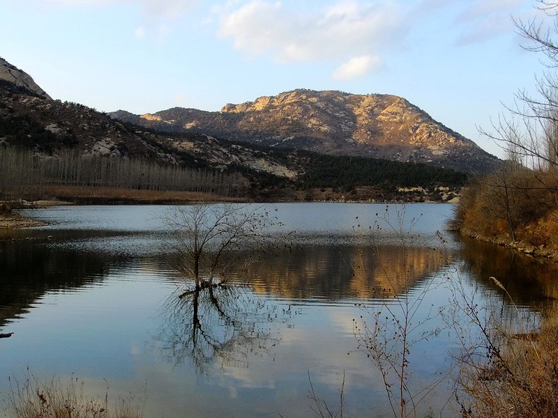 DSCF6805.jpg