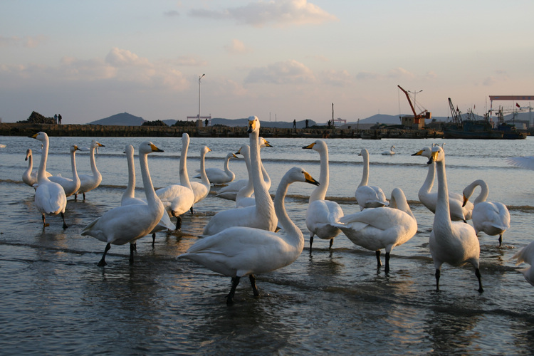 IMG_0120_光影_1.jpg