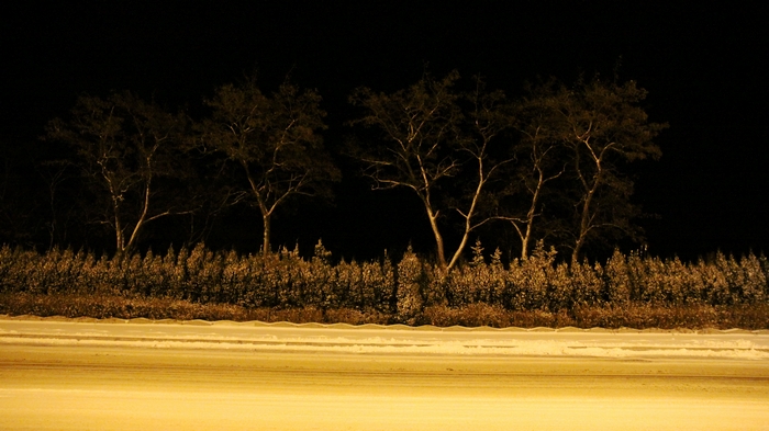 雪夜.jpg