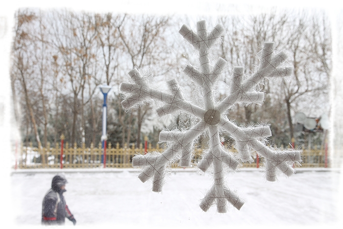 雪绒花.jpg