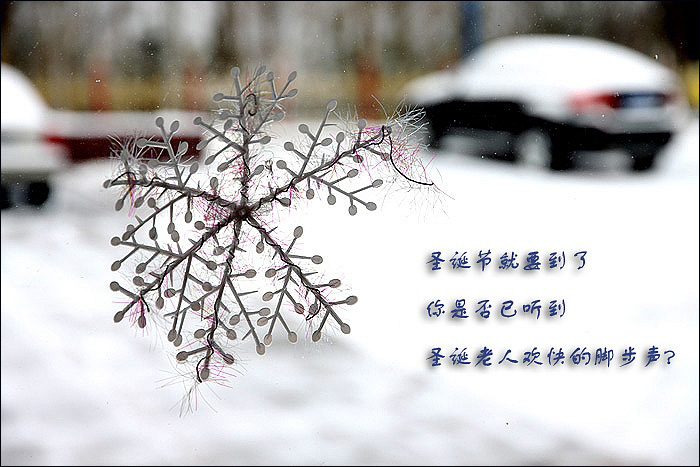 雪晴.jpg