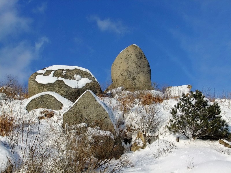 DSCF6940.jpg
