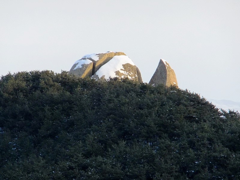 DSCF6947.jpg