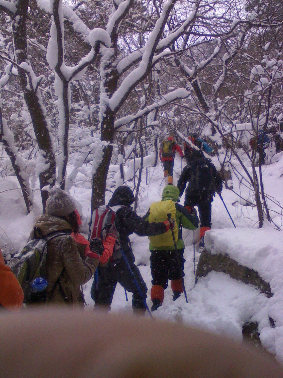 IMG0068A.jpg