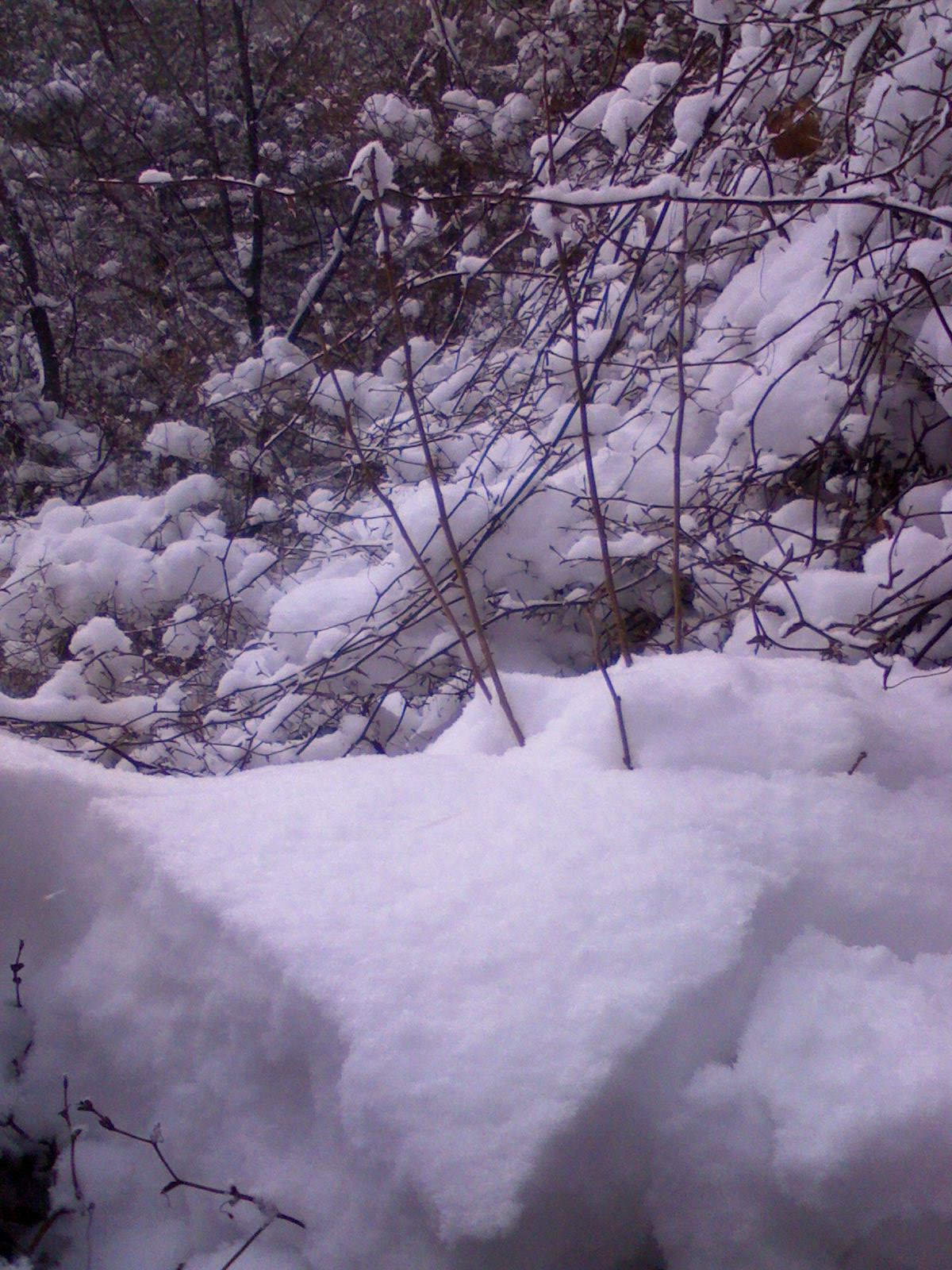 IMG0070A.jpg