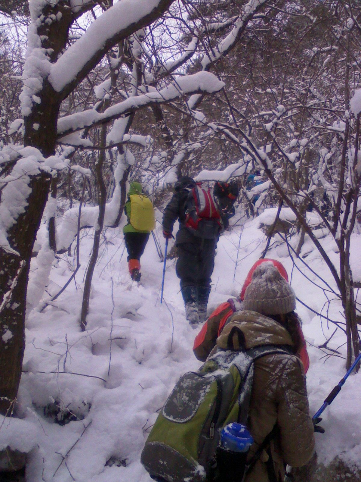 IMG0069A.jpg
